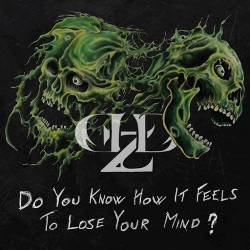 Demolized : Do You Know How It Feels to Lose Your Mind ?